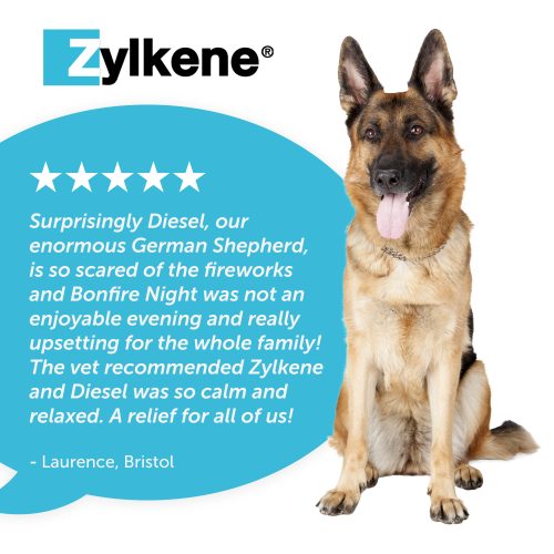 Zylkene-Capsules-Large-Review