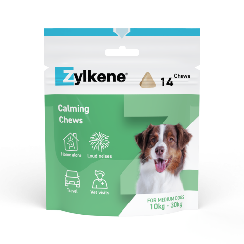 Zylkene Chews Optimised Packaging 2022_225MG-FRONT_72dpi
