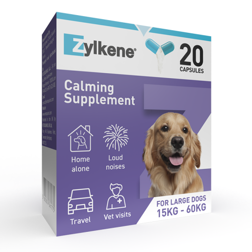 calming-capsule-large-angle